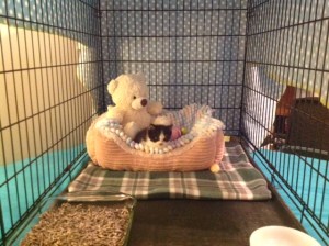 Now THIS is what I'm talking about!