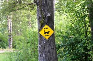 Street sign in Skagway