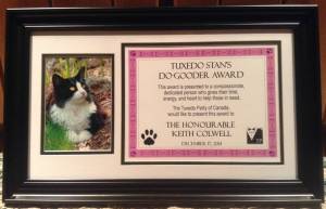 Close up of the award