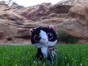 Angel's rest at Best Friends Animal Society - Utah