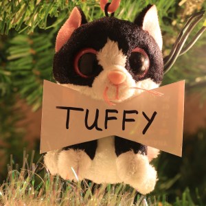 Tuffy Chase