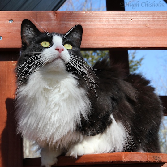 TS on perch 2 2012-03-10 at 13-31-13-1