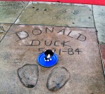 Donald Duck