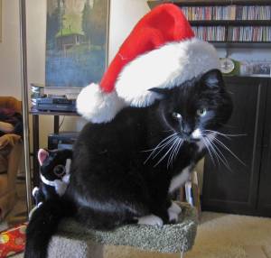 Santa Socks, Albert's gracious host