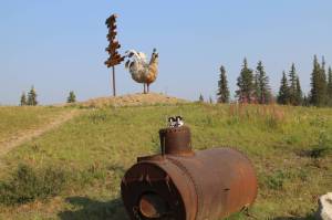 Don't look now, but there's a really big chicken behind us!