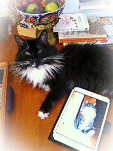 Munchie Kinghorn copy 3