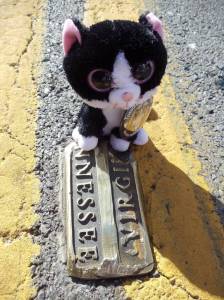 Minion Bernadette made it to Bristol's iconic State Street-- where the state lines of Virginia and Tennessee meet