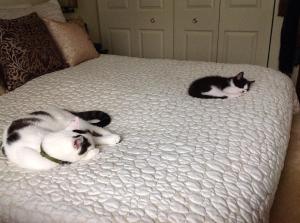 Me keeping a respectful distance