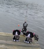 Fishing from the dock