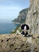Capri Island Coastline