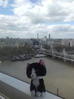 Up in the London Eye