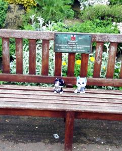Hanging out on a bench in Scotland