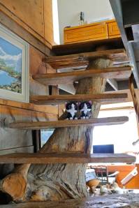 Are we staying in a tree house?