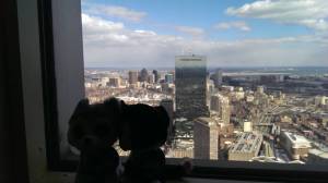 Minions Lewis & Clark in Boston