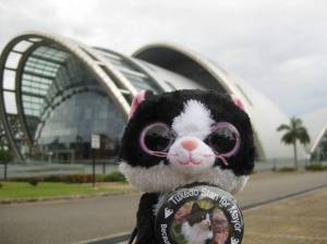 National Academy for the Performing Arts (Trinidad & Tobago) by Sum McDowald