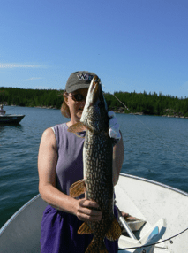 Screen Shot 2013-11-07 at 6.58.19 PM