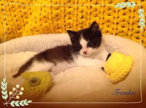 Sleeping in my own bed.