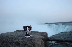Stan at Niagara Falls! (Ontario, Canada)