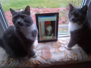 Roxy and Tilly Thistle