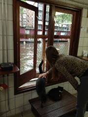 The young lady in the picture is one of their volunteers.