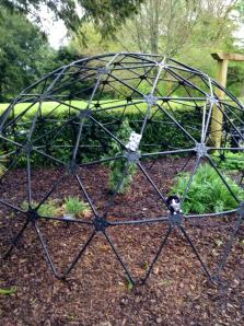 Playing in the Blarney Castle Garden