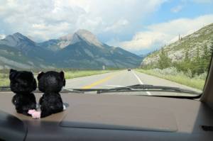 The mountains look different east of Jasper