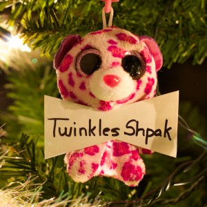 Twinkle Shpak