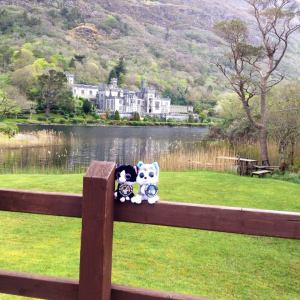 Somewhere in Ireland