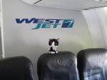 Natalie flies Westjet