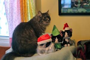 Portia posing with Trio Tux