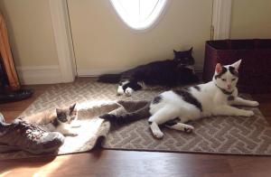 Me and my friends hanging out.