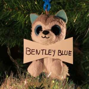 Bentley Blue Dreher (Angus' best friend)