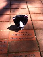 Tuxedo Stan Brick