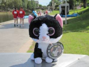 On the bank of the River Torrens in Adelaide, Australia