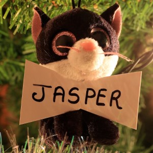 Jasper Chase