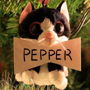 Pepper Tisdelle