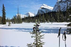 Enjoying a backcountry adventure in Kootenay Park
