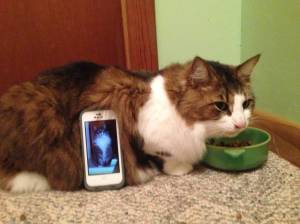 Christopher Passetto