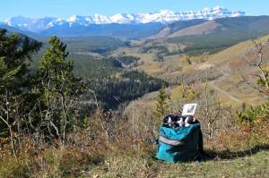 Looking up Sheep River, there's snow in them thar hills