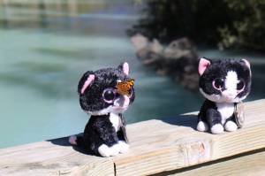 Communing with nature at Kinney Lake (there's a real social butterfly!)