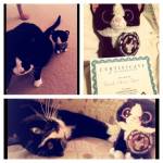 Elmo and Cisco Steible