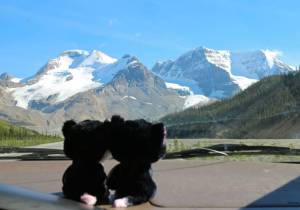 Approaching the Columbia Icefield!