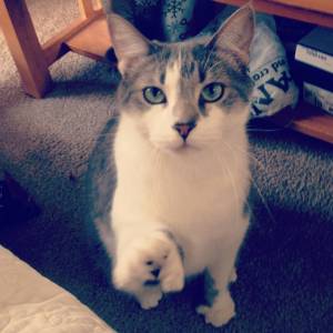 Mr. ? (name withheld by owner)