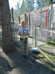 Minon Tuxedo Daisy Mae in Mead, Washington with Willow at Cat Tales