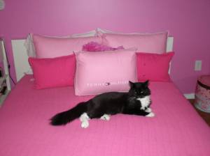 Mr. Simon Grignani # 4