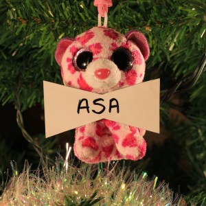 ASA Dreher (FIV+ kitty)