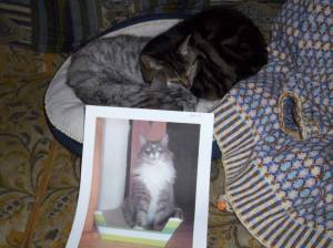 Pepper and Ella Tremills