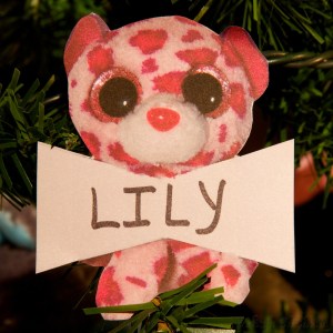 Wild Casablanca Lily, Queen of the Polar Bears Jessen