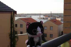 Sydney Harbour from Balmain (NSW, Australia) by Daniel Mack