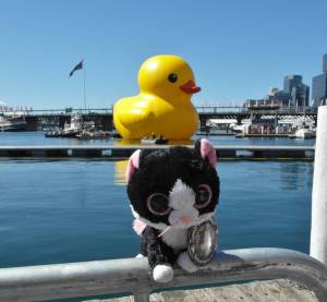 Giant rubber duck (Sydney, Australia) by Dan Mack